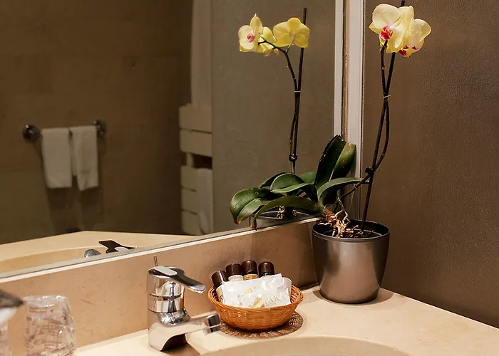 Hotel Consolata Fátima